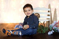 C. Holiday Mini Session