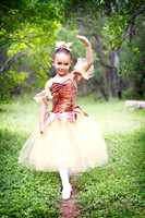 Ballet 2012