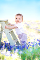 W. Bluebonnet Mini Session | San Antonio Children's Photographer