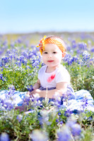 N. Bluebonnet Session | San Antonio Children's Photographer