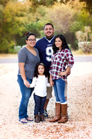 V. & E. | Holiday Mini Session