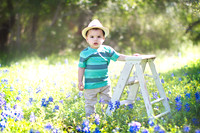 Kayden | Bluebonnet